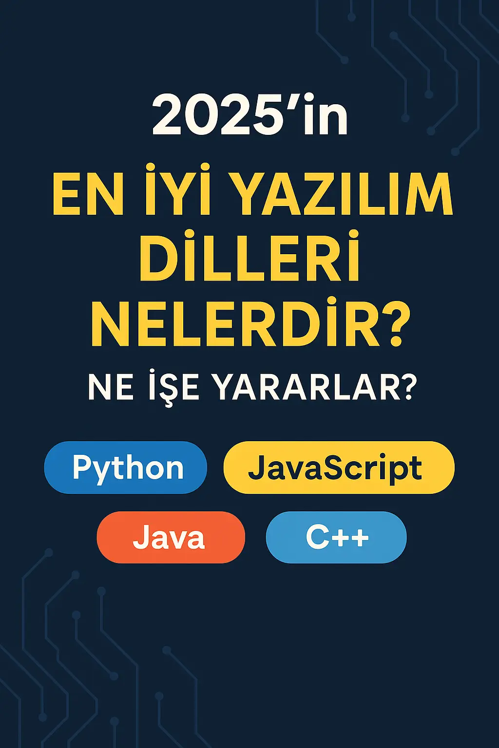En iyi yazılım dilleri - most idea